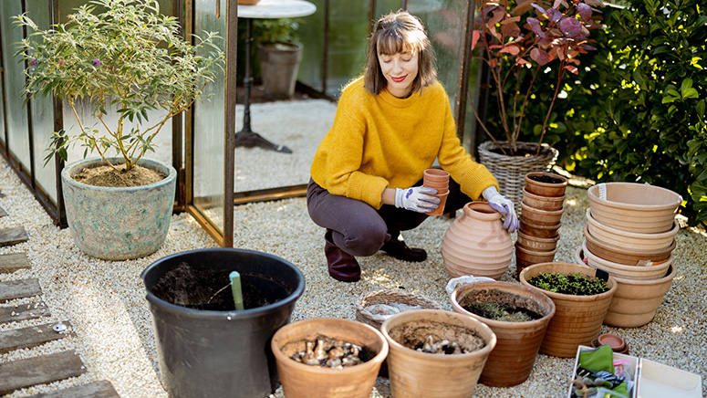 Cómo decorar tu jardín con piedras y plantas